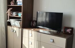 Apartament cu 3 camere, 67 mp, etaj intermediar, zona Tineretului