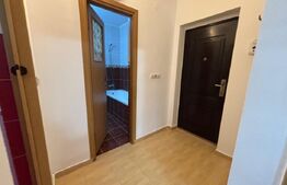 Apartament 1 camera, 32 mp, zona Florilor