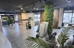 Spațiu Comercial, 136 mp, în Zonă Premium –  Activități Comerciale/Birouri