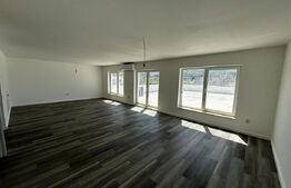 Penthouse, 5 camere, 2 bai, 161 mp, PETFRIENDLY, parcare, zona Stejarului