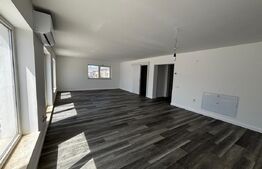 Penthouse, 5 camere, 2 bai, 161 mp, PETFRIENDLY, parcare, zona Stejarului