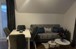 Apartament cu 3 camere, prima închiriere, parcare, 50 mp, zona Tineretului.