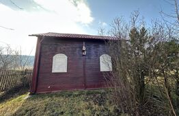 Casa de vacanta de vanzare, in Lisnau - Comuna Ozun