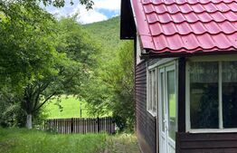 Teren si Casa de vacanta de vanzare, in Lisnau - Comuna Ozun
