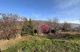 Casa de vacanta de vanzare, in Lisnau - Comuna Ozun