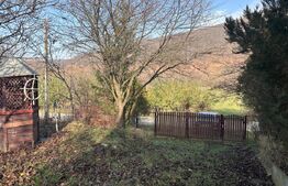 Casa de vacanta de vanzare, in Lisnau - Comuna Ozun