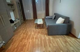 Apartament 1 camera, etaj intermediar, zona Marasti