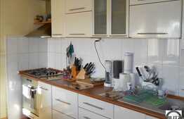 Casa la pret bun cu 400 mp utili si 800mp in cartierul Someseni!