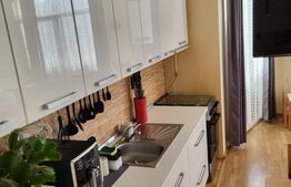 Apartament 2 camere, etaj 1/4, cu parcare inclusa, zona Tineretului