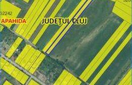 Teren Apahida / Sat pata