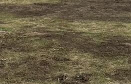 OPORTUNITATE DE INVESTIȚIE – TEREN 928 MP, zona IRIS/ VORONEȚ