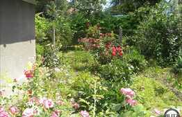 Casa cu 460mp de teren,zona Spitalul de Recuperare, cu autorizatie de constuctie