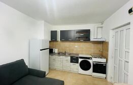 Garsoniera in centrul Clujului, 19 mp, 15 mp terasa, zona strazii Baritiu