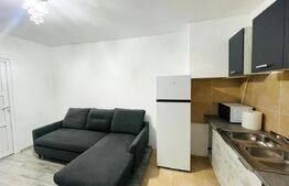 Garsoniera in centrul Clujului, 19 mp, 15 mp terasa, zona strazii Baritiu
