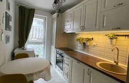 Apartament 2 camere, decomandat, 54 mp plus terasa, Andrei Muresan