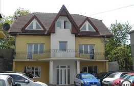 Pentru Pensiune / Sediu De Firma / Clinica / Centru Spa