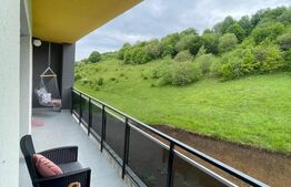 Apartament 2 camere, 53 mp, zona Teilor, etaj intermediar, cu vedere la pădure