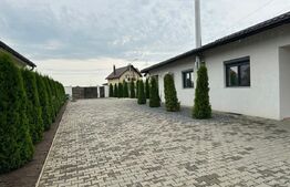 Casa individuala 215 mp, teren 1500 mp, in Mihai Viteazu