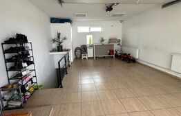 Casa individuala 215 mp, teren 1500 mp, in Mihai Viteazu