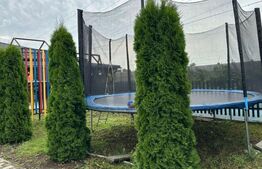 Casa individuala 215 mp, teren 1500 mp, in Mihai Viteazu