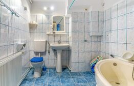 3 camere cu grădină, vilă interbelică, Emil Racoviță 16