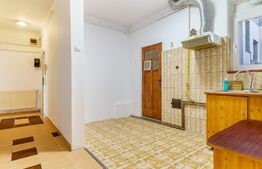 3 camere cu grădină, vilă interbelică, Emil Racoviță 16