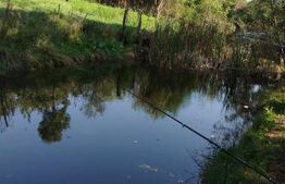 Teren intravilan 1150 mp cu cabana si balta, Sat Craesti