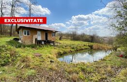 Teren intravilan 1150 mp cu cabana si balta, Sat Craesti