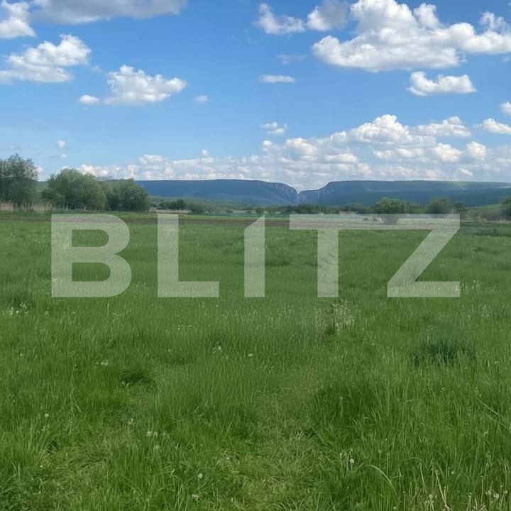 Teren de vânzare Padureni (Ciurila) - 183221TV | BLITZ Cluj-Napoca | Poza2