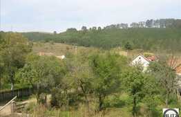 O casa situata la 25 km de Cluj, zona linistita, si plina de natura !