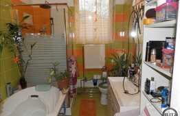 Casa individuala, 122 mp utili, 500 mp teren, zona ultracentrala