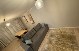 Apartament 2 camere, mobilat modern, balcon, zona Piata 1 Mai