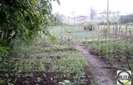 Casa de vanzare, 250 mp utili, teren 700 mp, gradina! Locatie linistita!