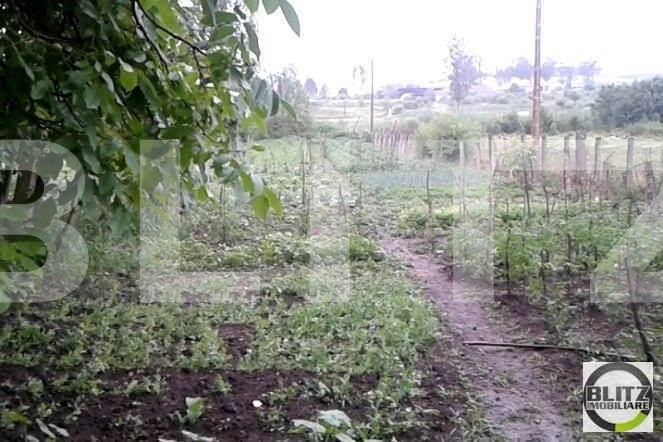 Casa de vânzare 3 camere Andrei Mureşanu - 18334CV | BLITZ Cluj-Napoca | Poza10