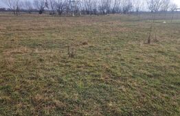 Teren intravilan Sanpetru - ideal c-tie casa- 500 mp