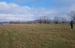 Teren intravilan Sanpetru - ideal c-tie casa- 500 mp