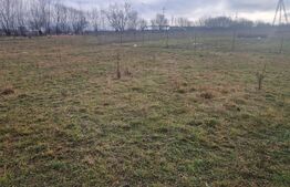 Teren intravilan Sanpetru - ideal c-tie casa- 500 mp