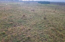 Teren intravilan Sanpetru - ideal ctie casa 500 mp