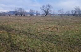 Teren de vânzare Stupini - 185504TV | BLITZ Brașov | Poza1