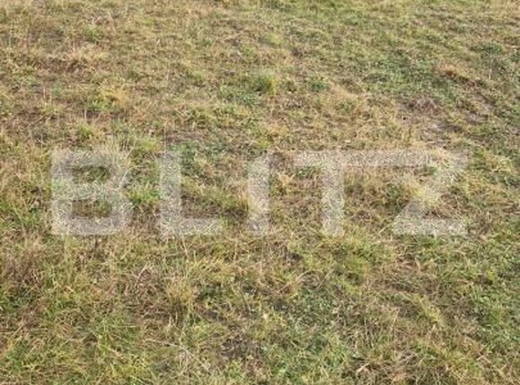 Teren de vânzare Sanpetru - 183340TV | BLITZ Brașov | Poza7