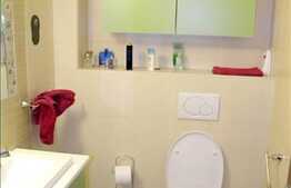 Casa de vanzare 260 mp utili, dispusa D+P+E+M, situata in zona linistita