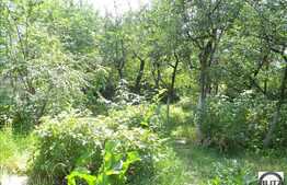 Casa individuala, renovabila cu 242 mp utili!