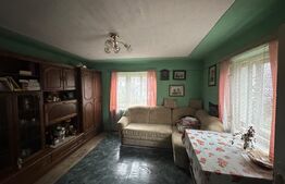 Teren 3000 mp + 2 case de vânzare-Cășeiu