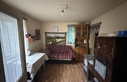 Teren 3000 mp + 2 case de vânzare-Cășeiu