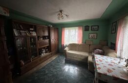 Teren 3000 mp + 2 case de vânzare-Cășeiu