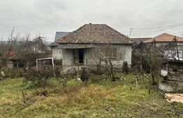 Teren 3000 mp + 2 case de vânzare-Cășeiu