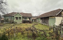 Teren 3000 mp + 2 case de vânzare-Cășeiu