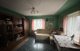 Teren 3000 mp + 2 case de vânzare-Cășeiu