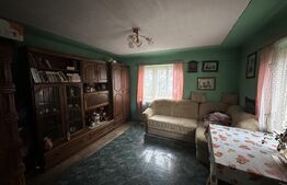 Teren 3000 mp + 2 case de vânzare-Cășeiu