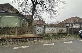 Teren 3000 mp + 2 case de vânzare-Cășeiu